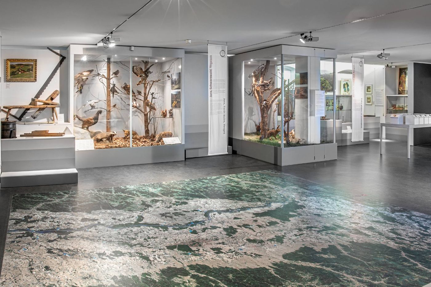 Ein Ausstellungsraum zeigt Dioramen mit Bäumen und ausgestopften Tieren sowie Bodenkarte