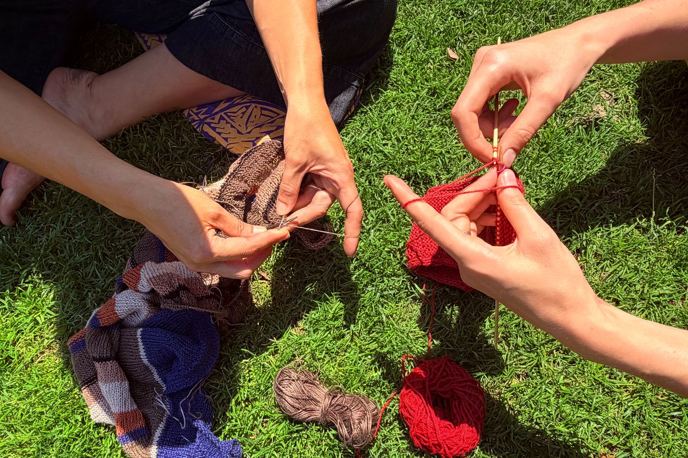 Zwei Personen stricken auf einer grünen Wiese mit buntem Garn und Stricknadeln.