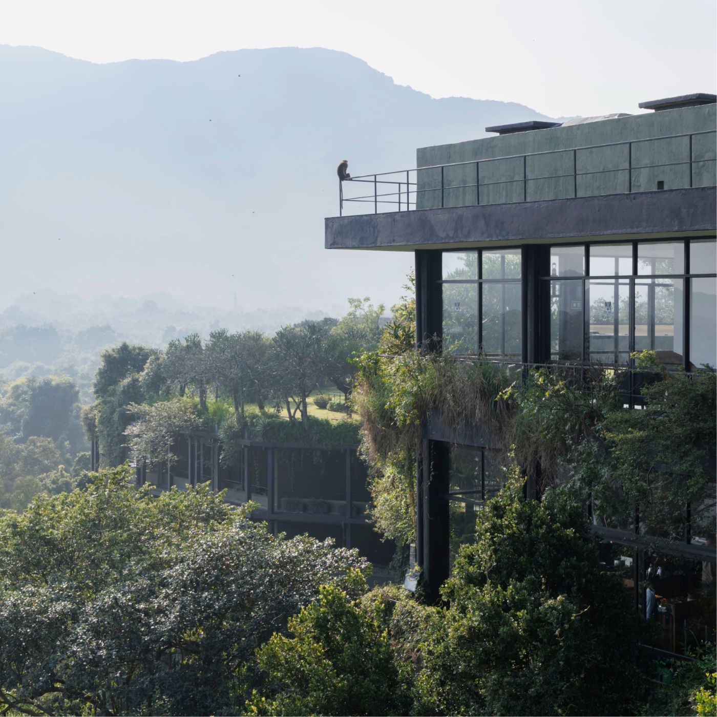A glass building extends into greenery, with a monkey perched on the railing