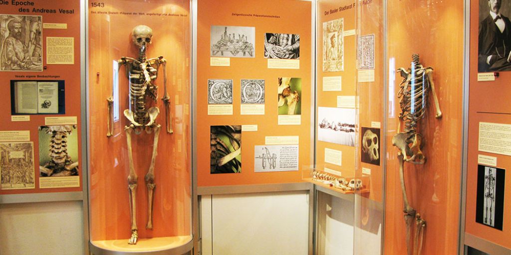 Vue de la section historique