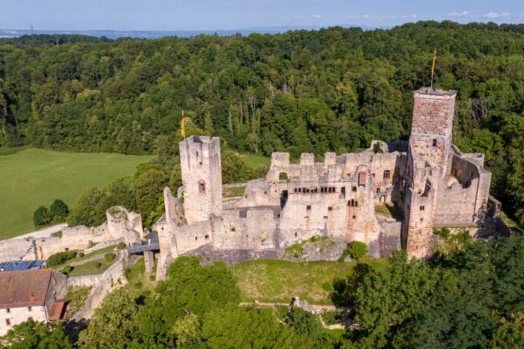 A castle ruin majestically sits on a tree-covered hill overlooking the valley.