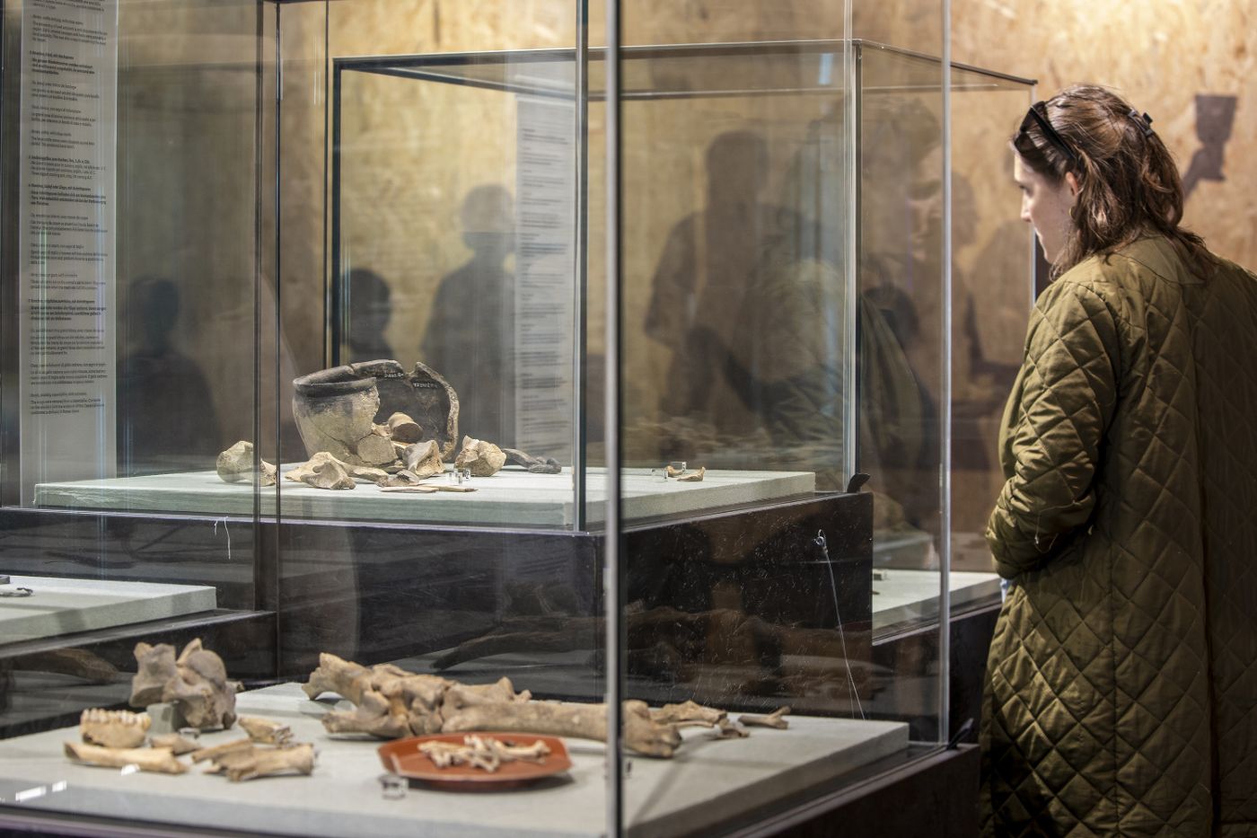 A person examines animal bones and pottery fragments in a glass display case