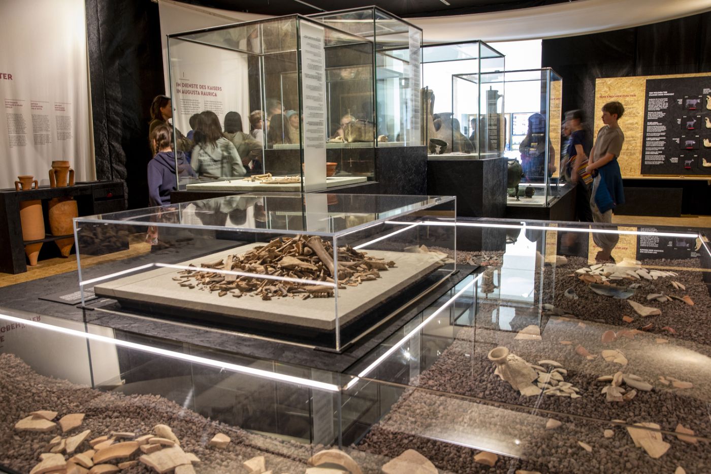 In a modern exhibit, display cases show ancient bones and pottery shards.