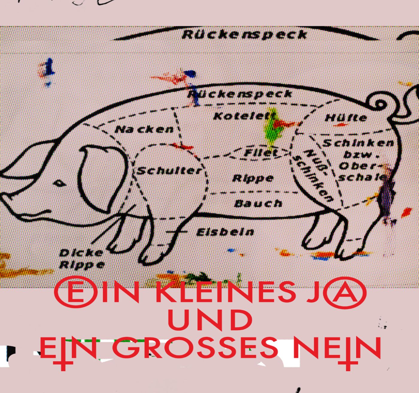 Auf einem schematischen Bild eines Schweins sind verschiedene Fleischteile markiert und benannt