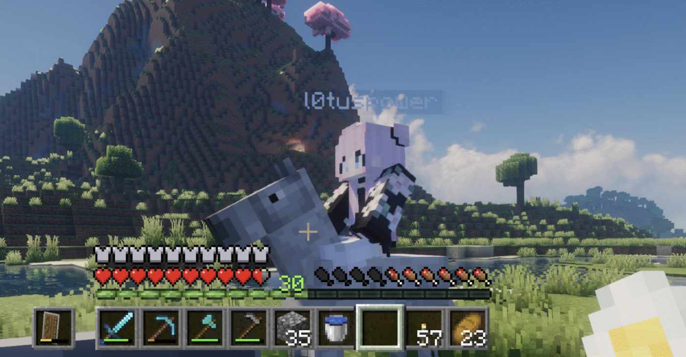 Ein Minecraft-Charakter mit pinken Haaren reitet auf einem grauen Pferd durch eine grüne Landschaft.