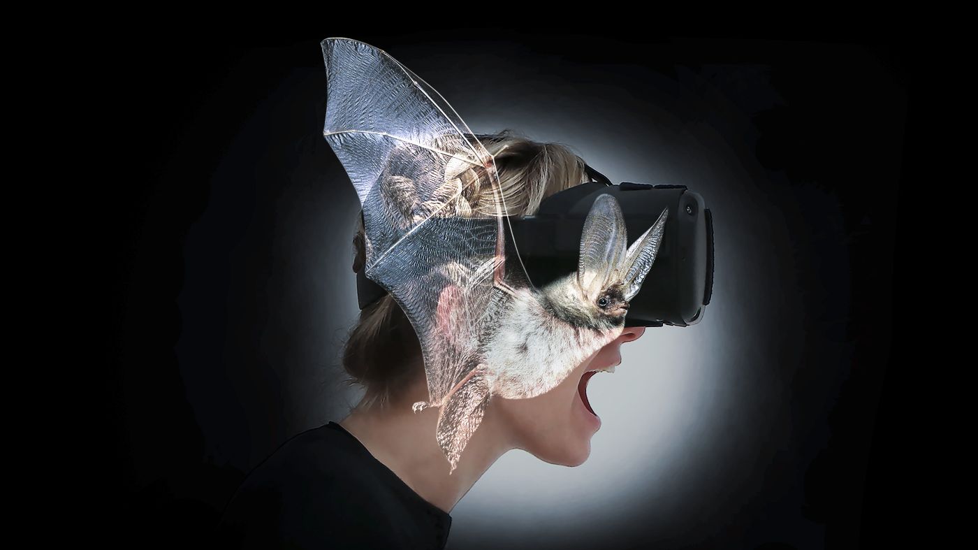 z.Vg. BATVISION