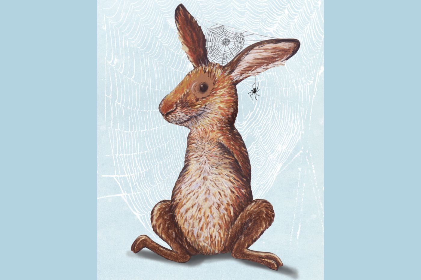 Gwunderhaas Museum.BL_Illustration, Kathrin Schärer