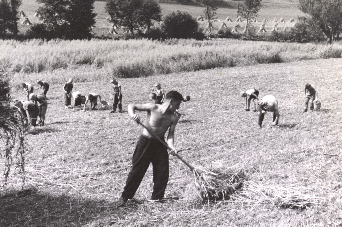 Working in the fields, Schillingsrain school home, Liestal, between 1943-1957 Basel-Landschaft State Archives