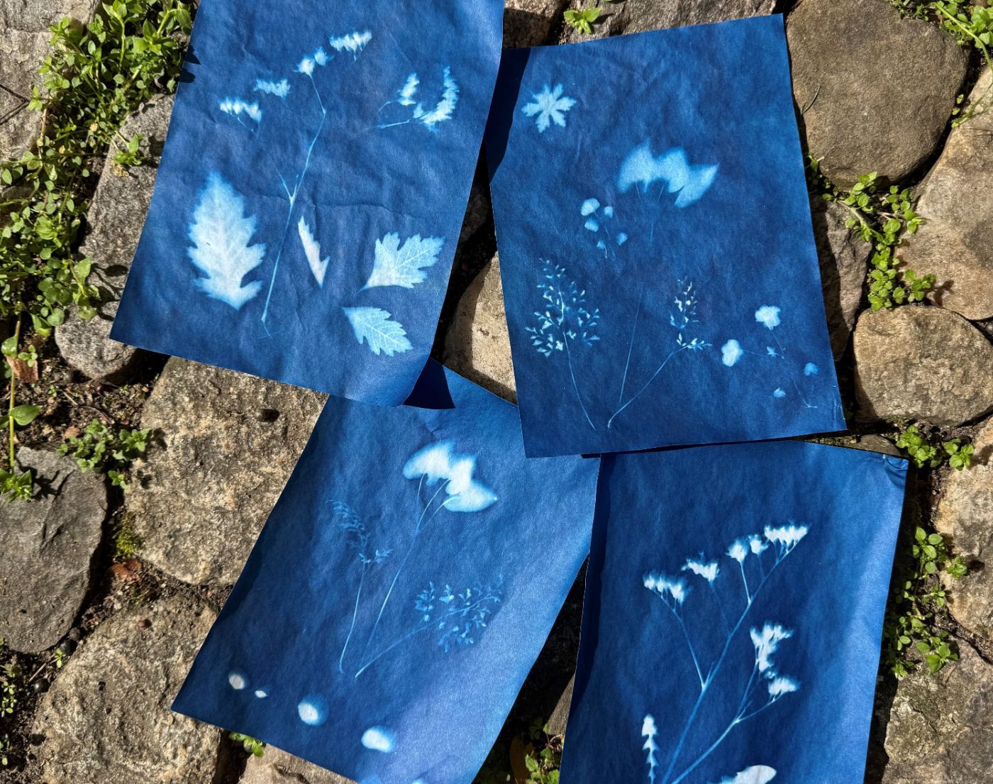 Vier blaue Cyanotypie-Drucke mit weissen Pflanzenmustern liegen auf Steinpflaster