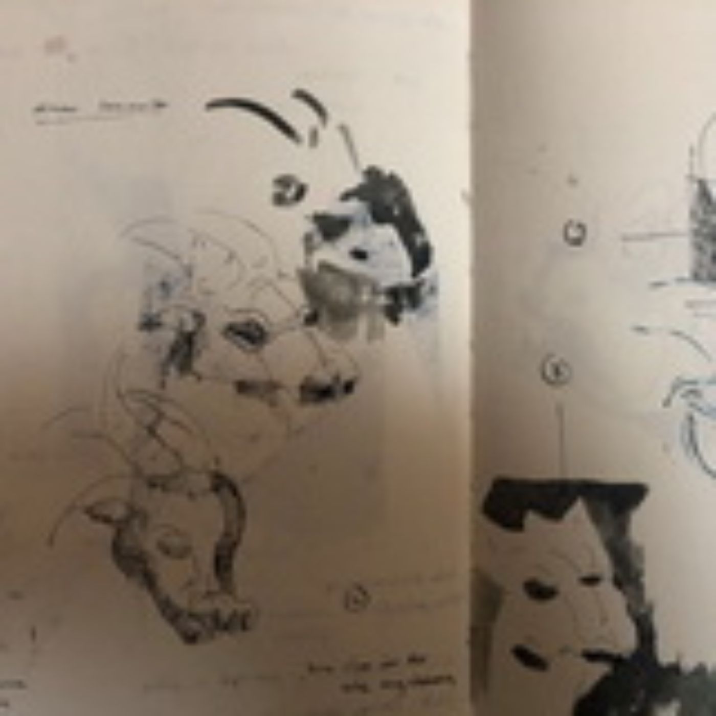 Skizzenbuch mit Zeichnungen von Tierköpfen