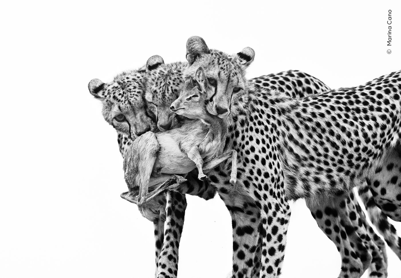 Ein Fotograf in Outdoor-Kleidung richtet seine Kamera mit grossem Teleobjektiv aus.