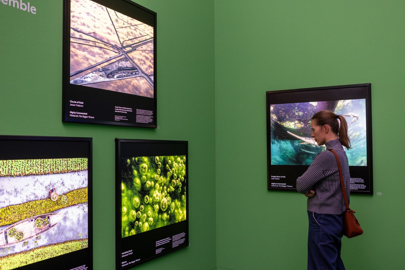 Museumsgast betrachtet Fotografien in der Sonderausstellung