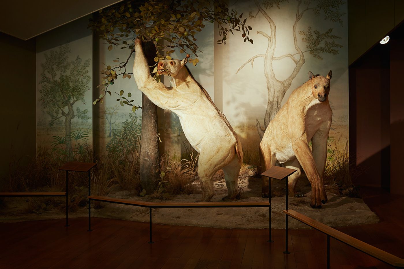 Zwei präparierte Urzeittiere in einer Waldszenen-Ausstellung mit Bäumen und Pflanzen.