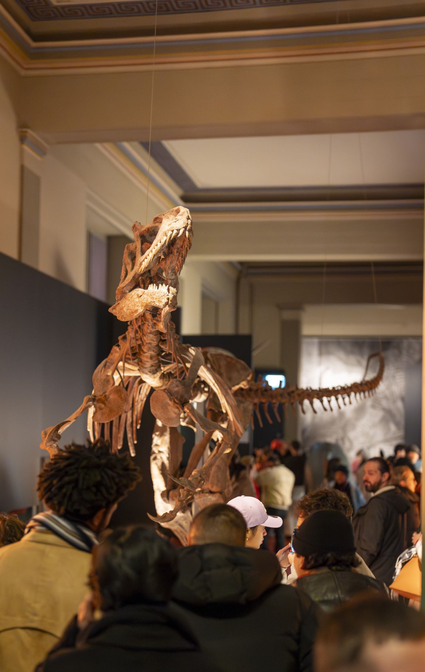 Dinosaurierskelett im Naturhistorischen Museum Basel