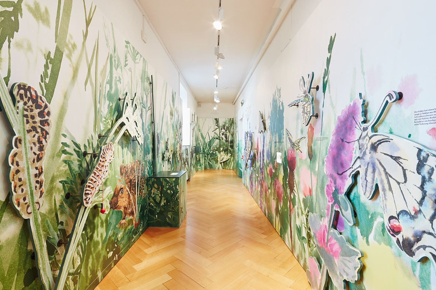 Wände mit bunten Schmetterlings- und Raupenillustrationen säumen einen langen Flur