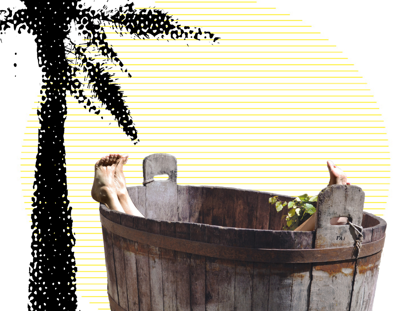 Grafik mit einer schwarzen Palme auf der linken Seite, rechts ein Badezuber aus dem vier nackte Füsse und Beine ragen. Im Hintergrund eine schraffierte Sonne