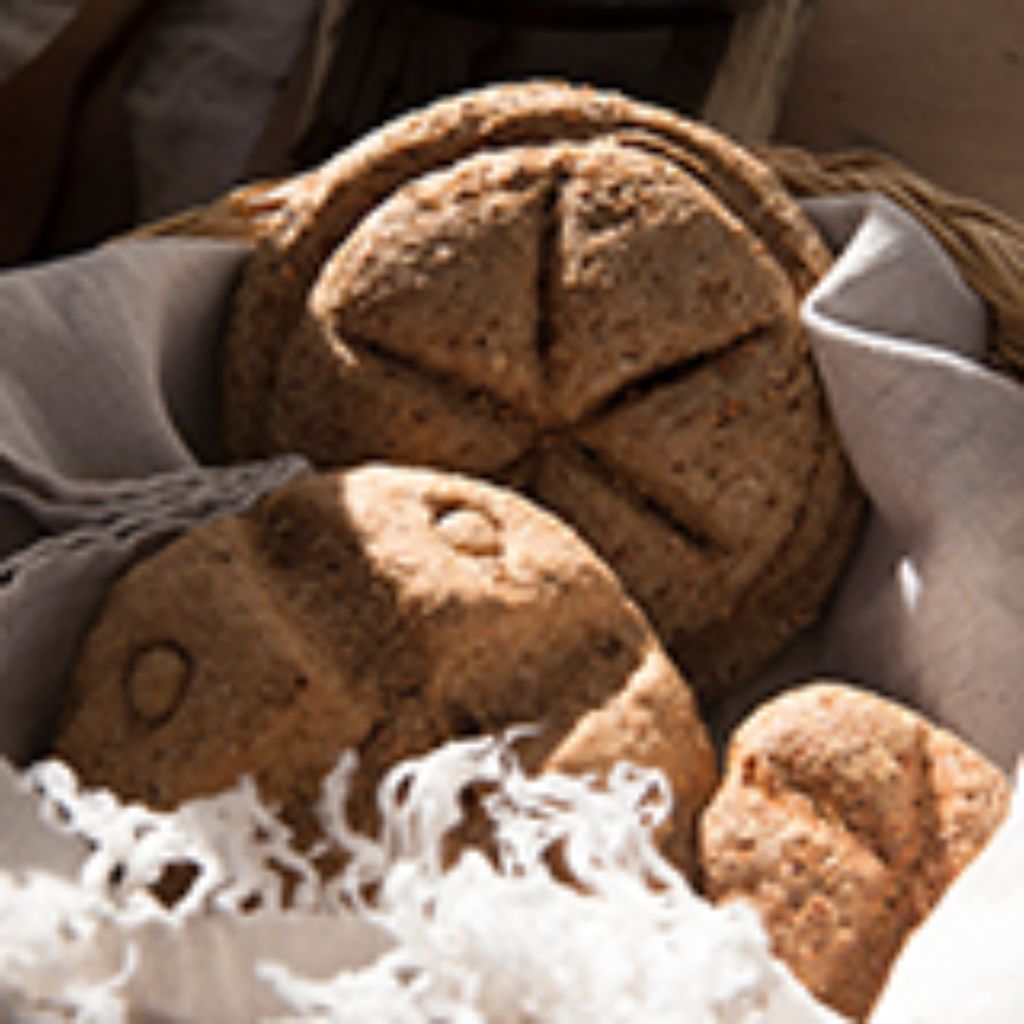 Bread Baking: From grain to Roman bread