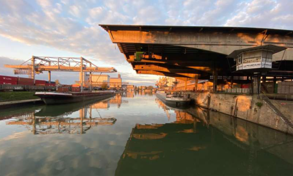 Public harbour tour