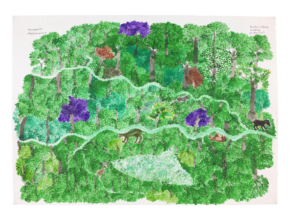 Dessin d'une forêt verte avec beaucoup d'arbres, des chemins vert clair, des fleurs violettes dans les arbres et, tout à fait cachés, quelques animaux.