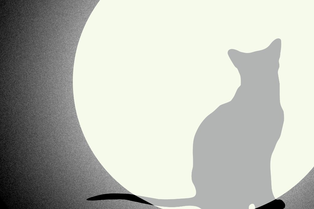 Eine graue Katzensilhouette sitzt vor einem grossen, hellen Mond auf einem gefleckten Hintergrund