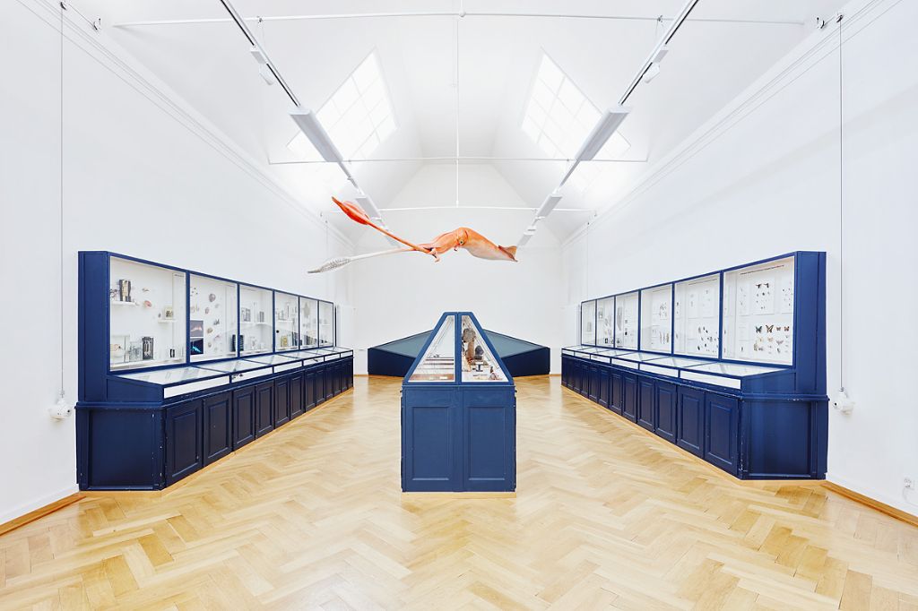 Ein grosser Raum mit blauen Vitrinen zeigt eine Ausstellung, an der Decke schwebt ein Tintenfischmodell.
